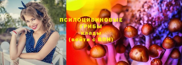 гидропоника Баксан