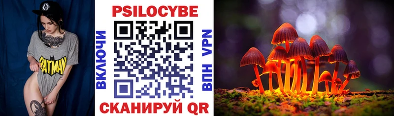 Галлюциногенные грибы Psilocybine cubensis  Себеж 